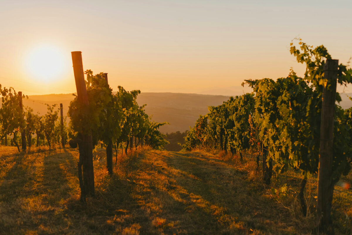 Autumn in Chianti